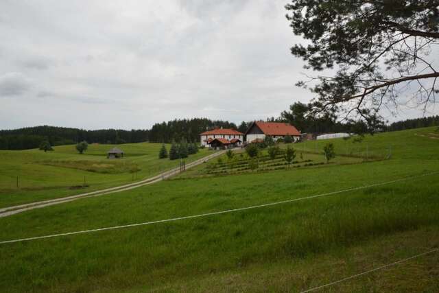 Фермерские дома Ranczo Pindorówka Maradki-30
